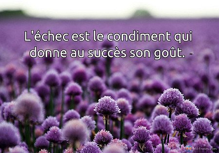 L'échec est le condiment qui donne au succès son goût.