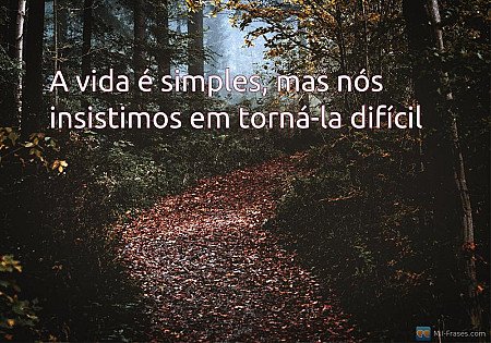 A vida é simples, mas nós insistimos em torná-la difícil