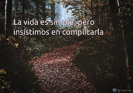 La vida es simple, pero insistimos en complicarla
