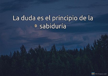 La duda es el principio de la sabiduría
