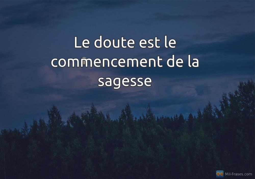 An image with the following quote Le doute est le commencement de la sagesse