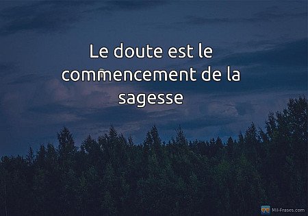 Le doute est le commencement de la sagesse