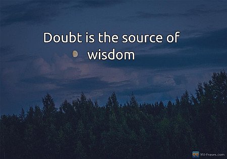 Doubt is the source of wisdom