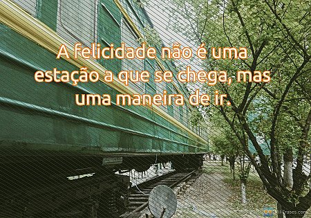 A felicidade não é uma estação a que se chega, mas uma maneira de ir.