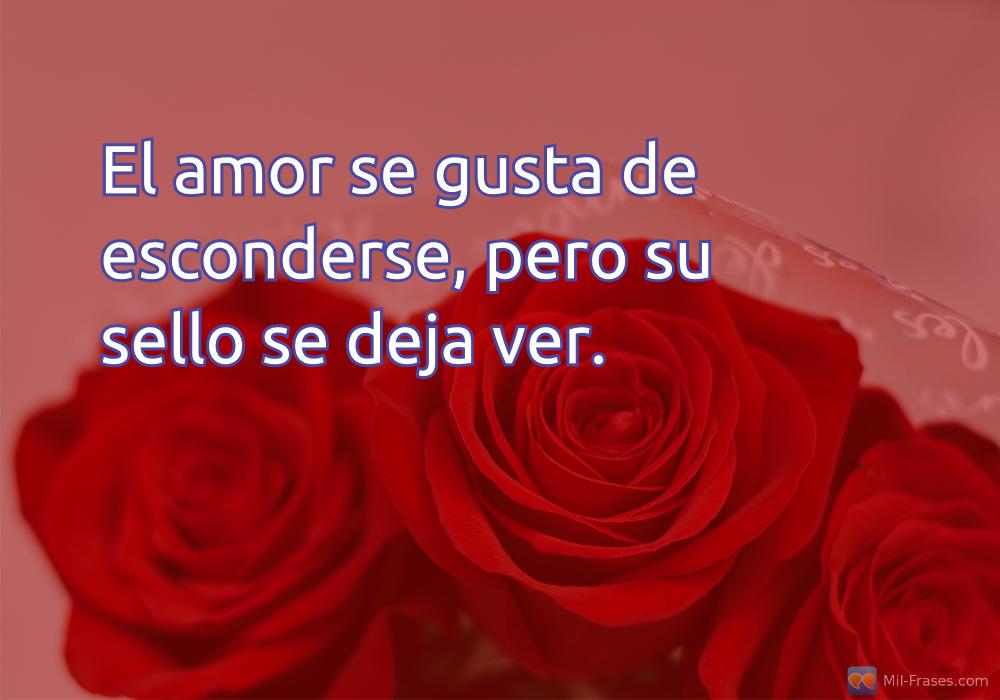 An image with the following quote El amor se gusta de esconderse, pero su sello se deja ver.