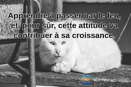 Apprendre à passer par le feu, et, pour sûr, cette attitude va contribuer à sa c...