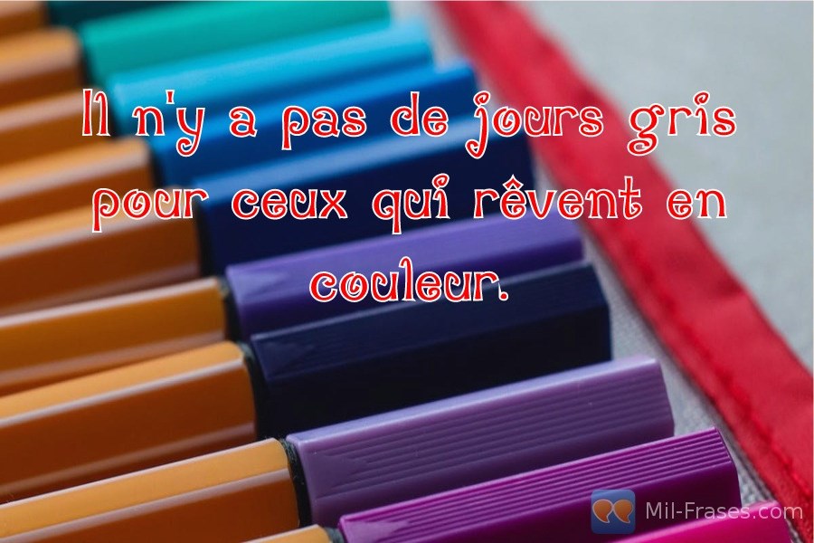 An image with the following quote Il n'y a pas de jours gris pour ceux qui rêvent en couleur.
