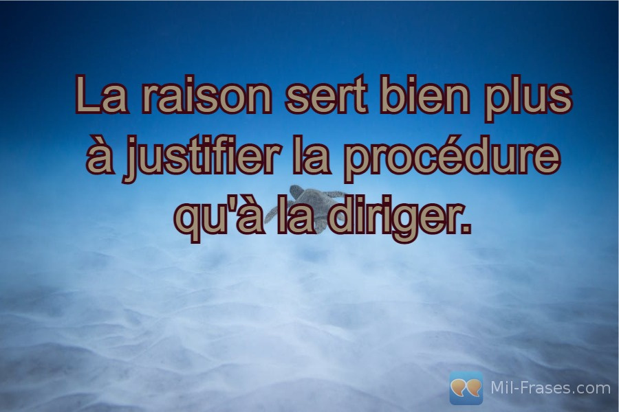 An image with the following quote La raison sert bien plus à justifier la procédure qu'à la diriger.
