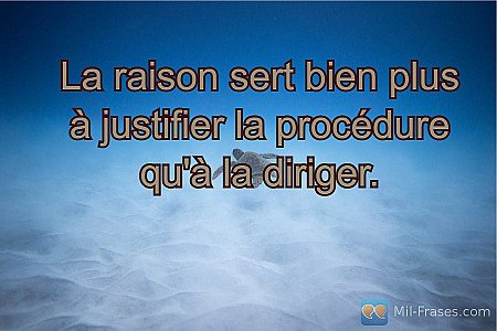 La raison sert bien plus à justifier la procédure qu'à la diriger.