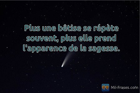 Plus une bêtise se répète souvent, plus elle prend l'apparence de la sagesse.