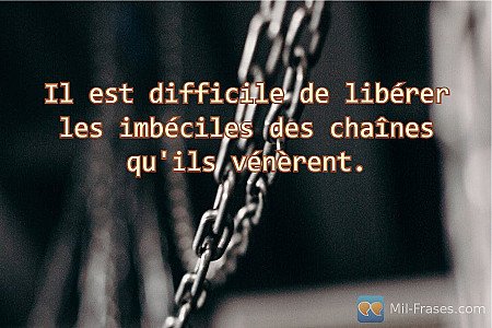 Il est difficile de libérer les imbéciles des chaînes qu'ils vénèrent.