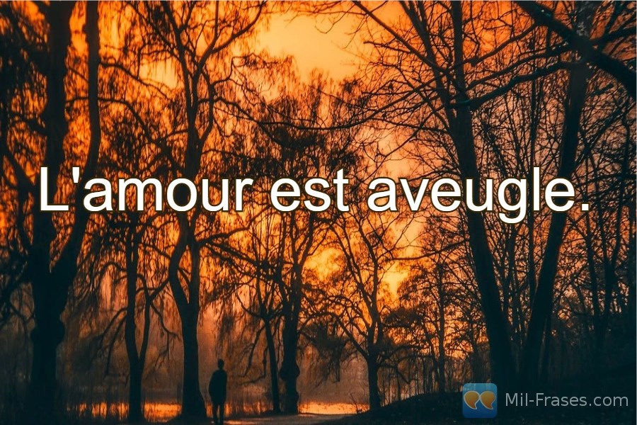 An image with the following quote L'amour est aveugle.