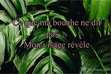 Ce que ma bouche ne dit pas ...
Mon visage révèle