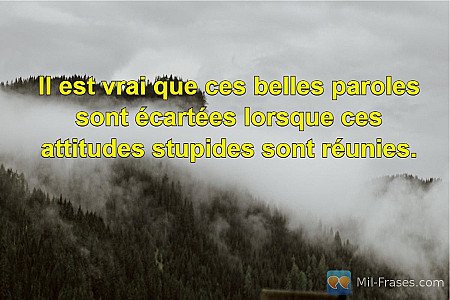 Il est vrai que ces belles paroles sont écartées lorsque ces attitudes stupides...
