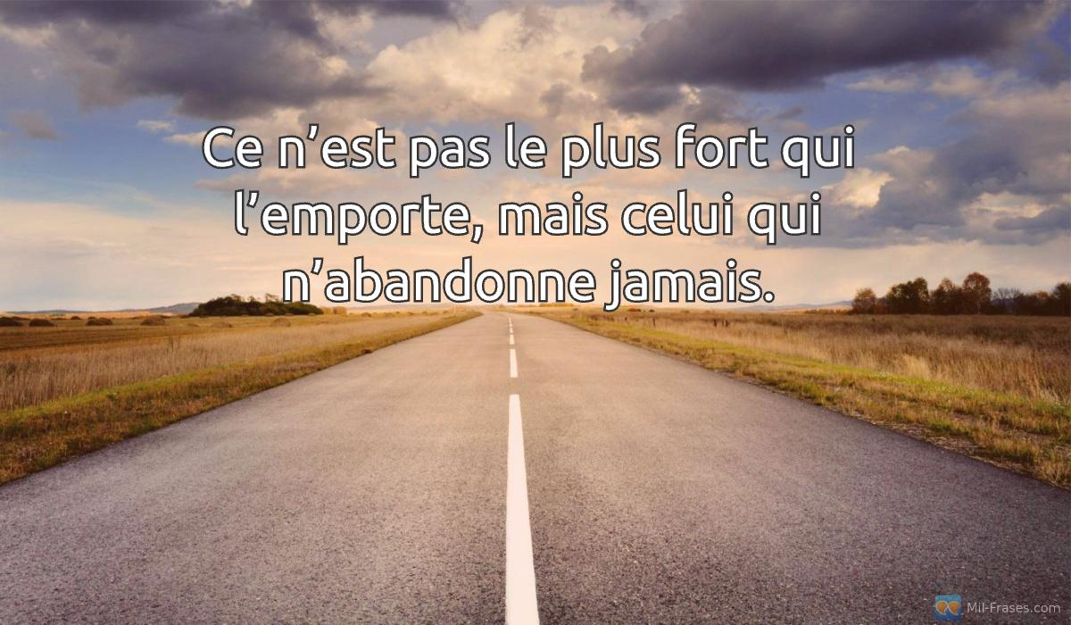 An image with the following quote Ce n’est pas le plus fort qui l’emporte, mais celui qui n’abandonne jamais.
