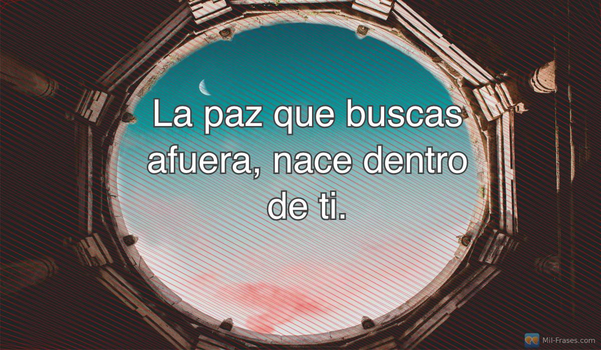 An image with the following quote La paz que buscas afuera, nace dentro de ti.