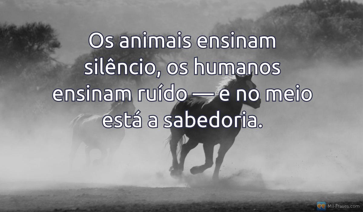 Uma imagem com a seguinte frase Os animais ensinam silêncio, os humanos ensinam ruído — e no meio está a sabedoria.