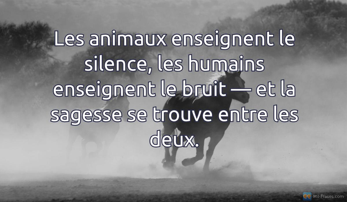 Uma imagem com a seguinte frase Les animaux enseignent le silence, les humains enseignent le bruit — et la sagesse se trouve entre les deux.