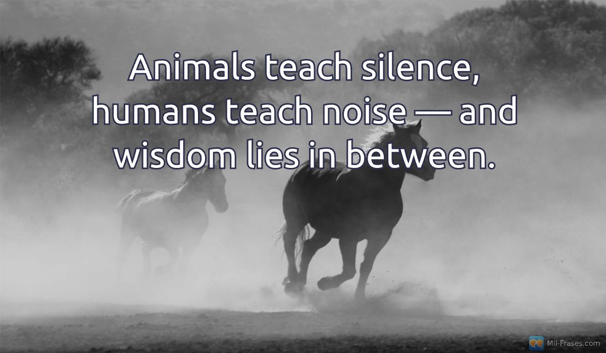 Uma imagem com a seguinte frase Animals teach silence, humans teach noise — and wisdom lies in between.