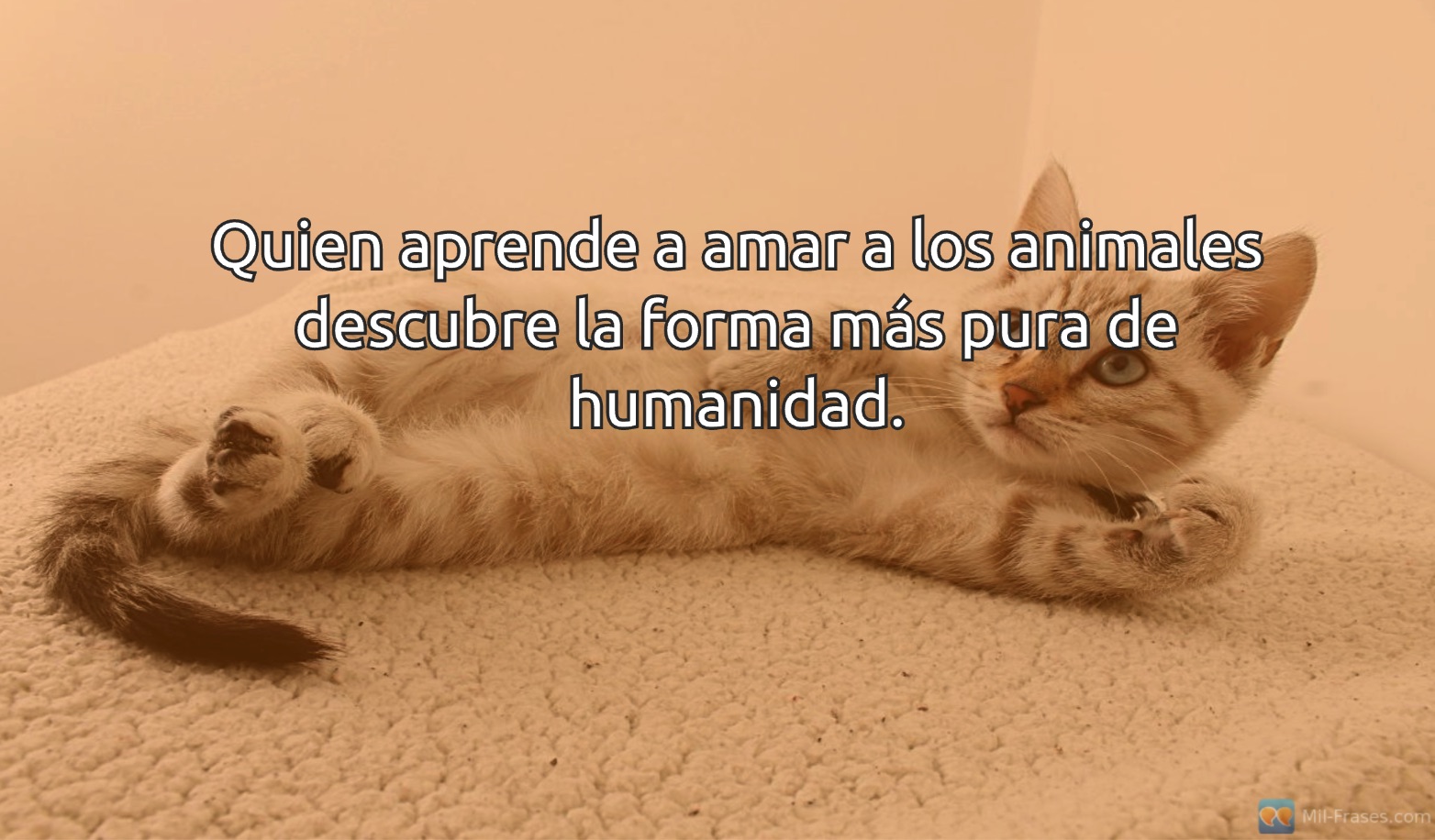 An image with the following quote Quien aprende a amar a los animales descubre la forma más pura de humanidad.