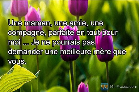 Une maman, une amie, une compagne, parfaite en tout pour moi ... Je ne pourrais...