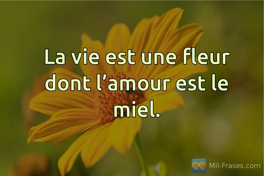 Uma imagem com a seguinte frase La vie est une fleur dont l’amour est le miel.