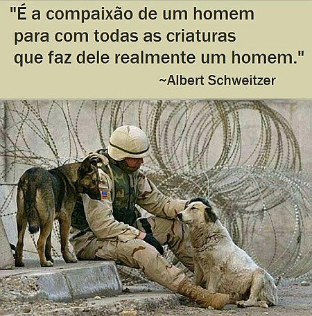 É a compaixão de um homem para com todas as criaturas que faz dele realmente um...