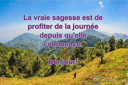 La vraie sagesse est de profiter de la journée depuis qu'elle commence.

Bonjour...