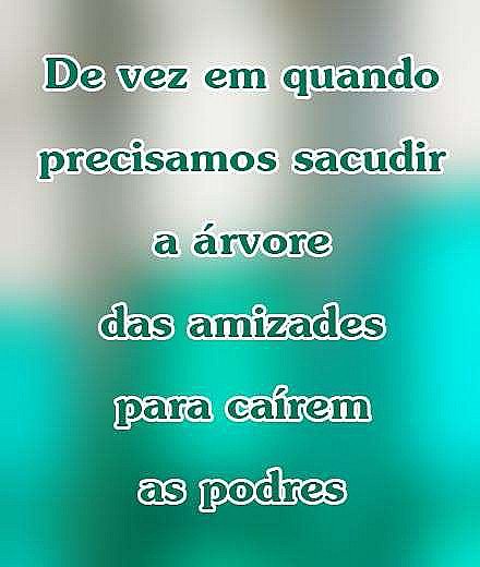 De vez em quando precisamos sacudir a arvore das amizades para cairem as podres.