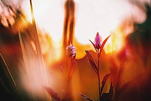 Poemas sobre Encontros